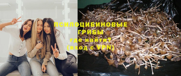 МДПВ Армянск