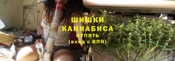 не бодяженный Арсеньев