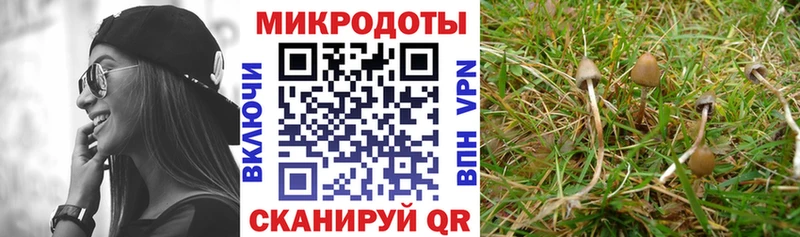 Псилоцибиновые грибы прущие грибы  Полысаево 